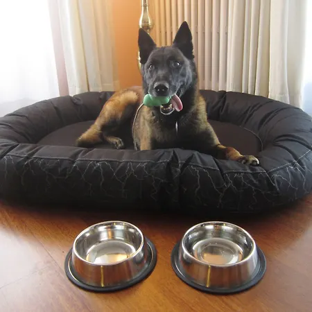 Готель Europe Давос