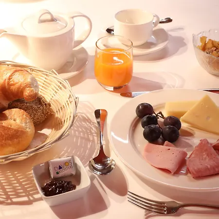 酒店 岳罗普酒店 达沃斯